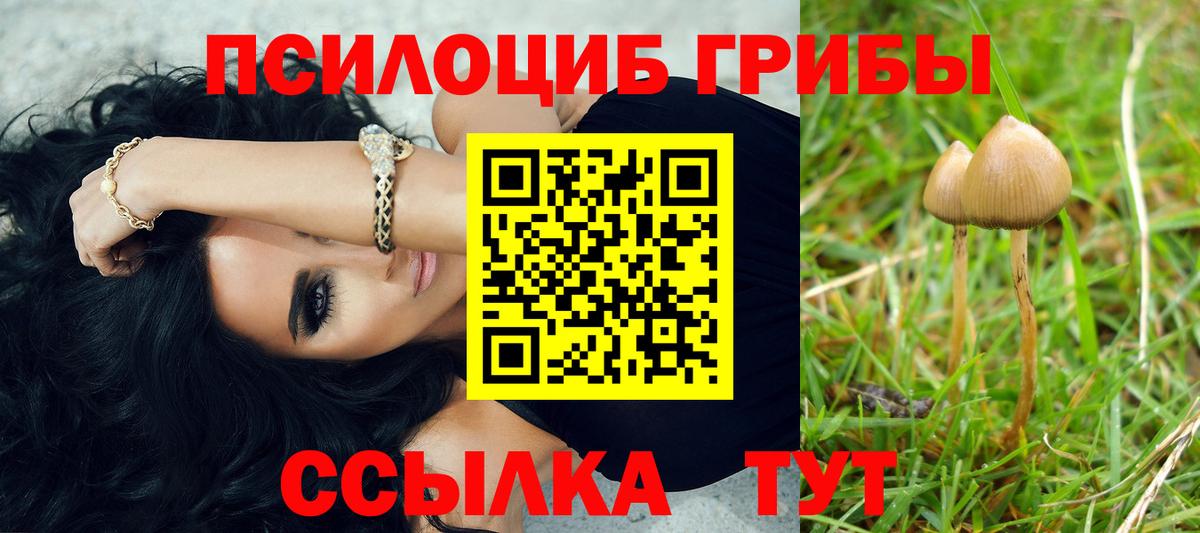Псилоцибиновые грибы ЛСД Мариинск